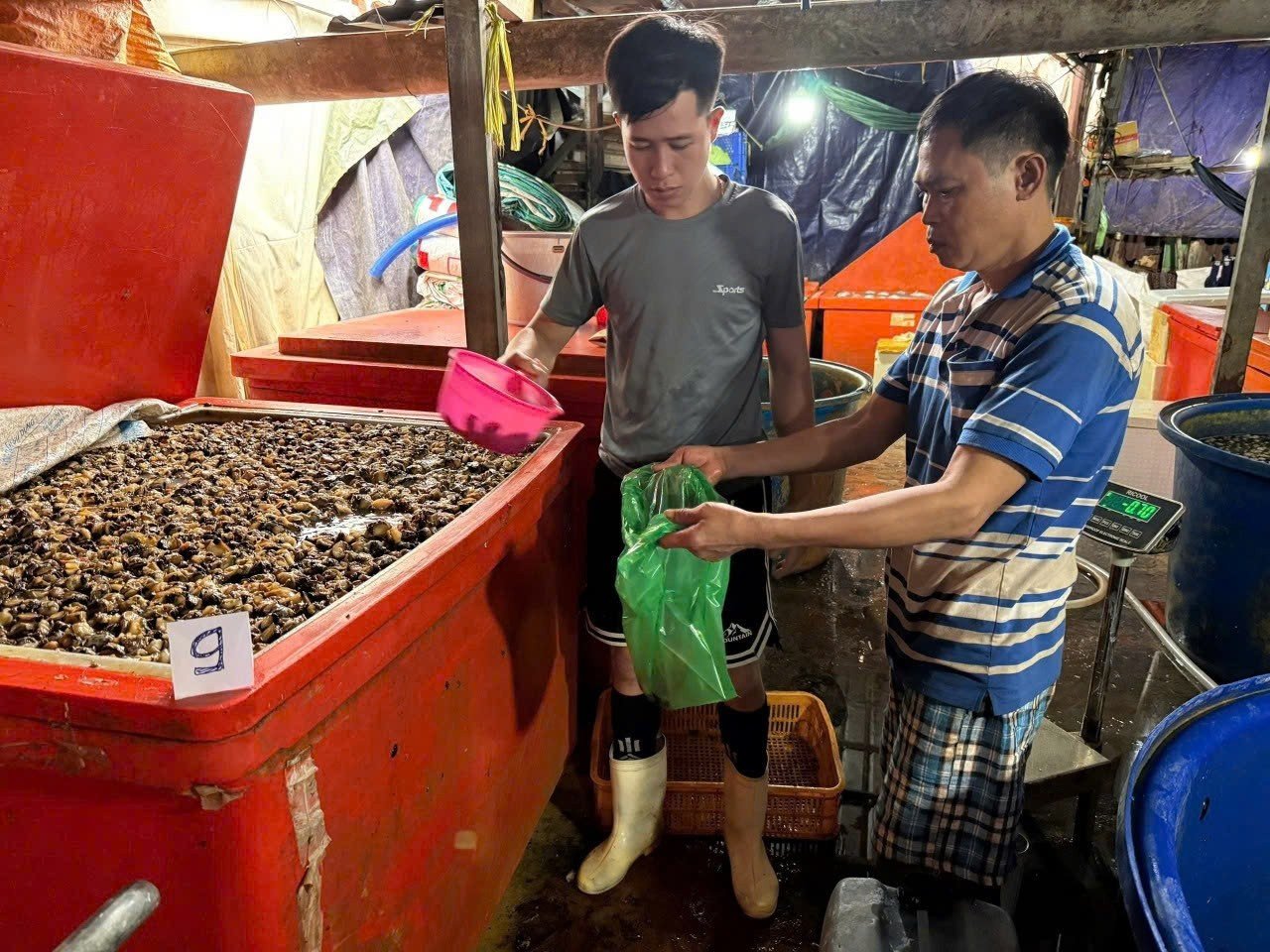 Các đối tượng thực hiện sơ chế ốc.