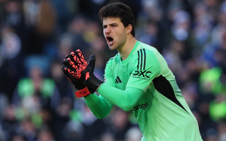 Lammens là bản hợp đồng rủi ro nhưng thành công của MU