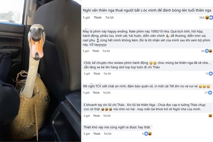 Cũng có bình luận cho rằng Thảo Cầm Viên nên siết chặt an ninh để đảm bảo an toàn cho các loài thú.