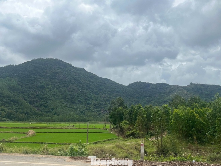 Khu vực máy bay rơi.