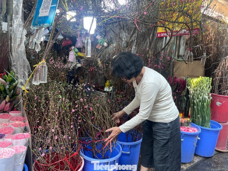 Theo các tiểu thương, thời điểm này đào mini mới về lai rai với số lượng chưa nhiều. Tuy nhiên, giá thành lại khá mềm, như đào cành từ 70 - 90 cm có giá từ 300.000 - 600.000 đồng/cành, đào huyền (dáng nằm ngang) giá khoảng 1,2 triệu đồng.