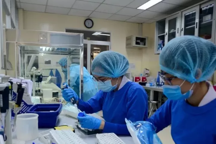 TPHCM lấy mẫu tầm soát virus Nipah trên bệnh nhân viêm não