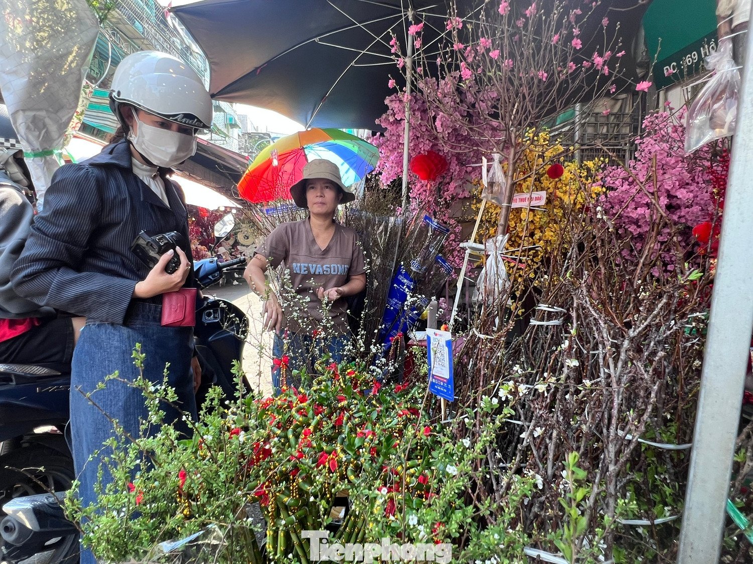 Đào mini đổ bộ Sài thành, giá rẻ đến bất ngờ - 15