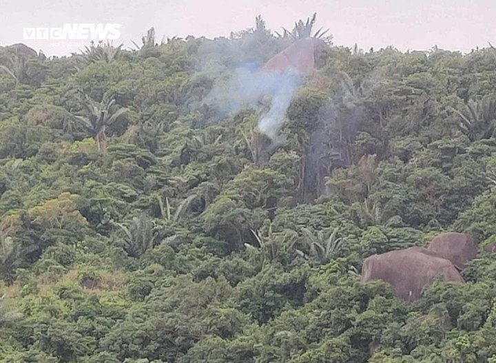 Khu vực máy bay rơi tại trên đỉnh núi tại phường Đông Hòa.