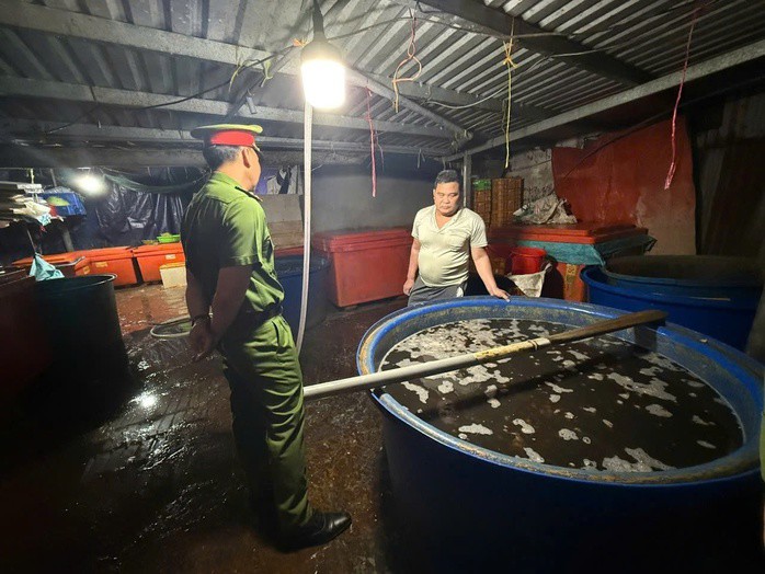 Ốc bươu bị ngâm hóa chất.