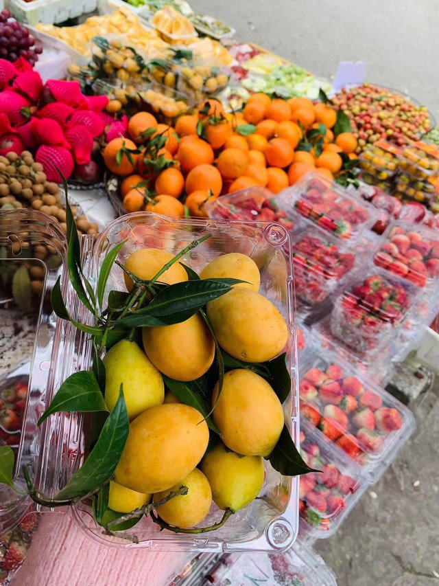 Thanh trà thường được đóng vào hộp 0,5kg để bán cho người tiêu dùng.