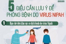[Infographic] - 5 điều cần lưu ý để phòng bệnh do virus Nipah