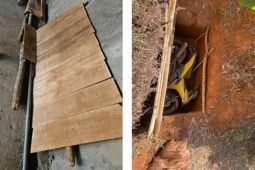 Truy tìm nguồn gốc ván gỗ trong vụ cướp ngân hàng ở Gia Lai