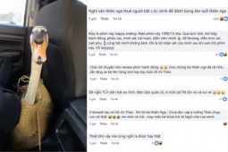 Vụ trộm thiên nga ở Thảo Cầm Viên: Dân mạng đòi dựng thành phim điện ảnh