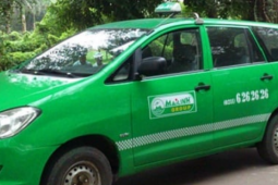 Tập đoàn Mai Linh nợ thuế, ông Hồ Huy có thể bị tạm hoãn xuất cảnh