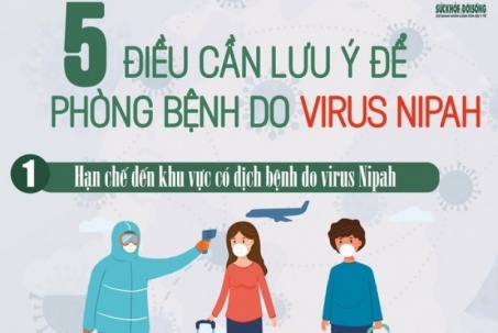 [Infographic] - 5 điều cần lưu ý để phòng bệnh do virus Nipah