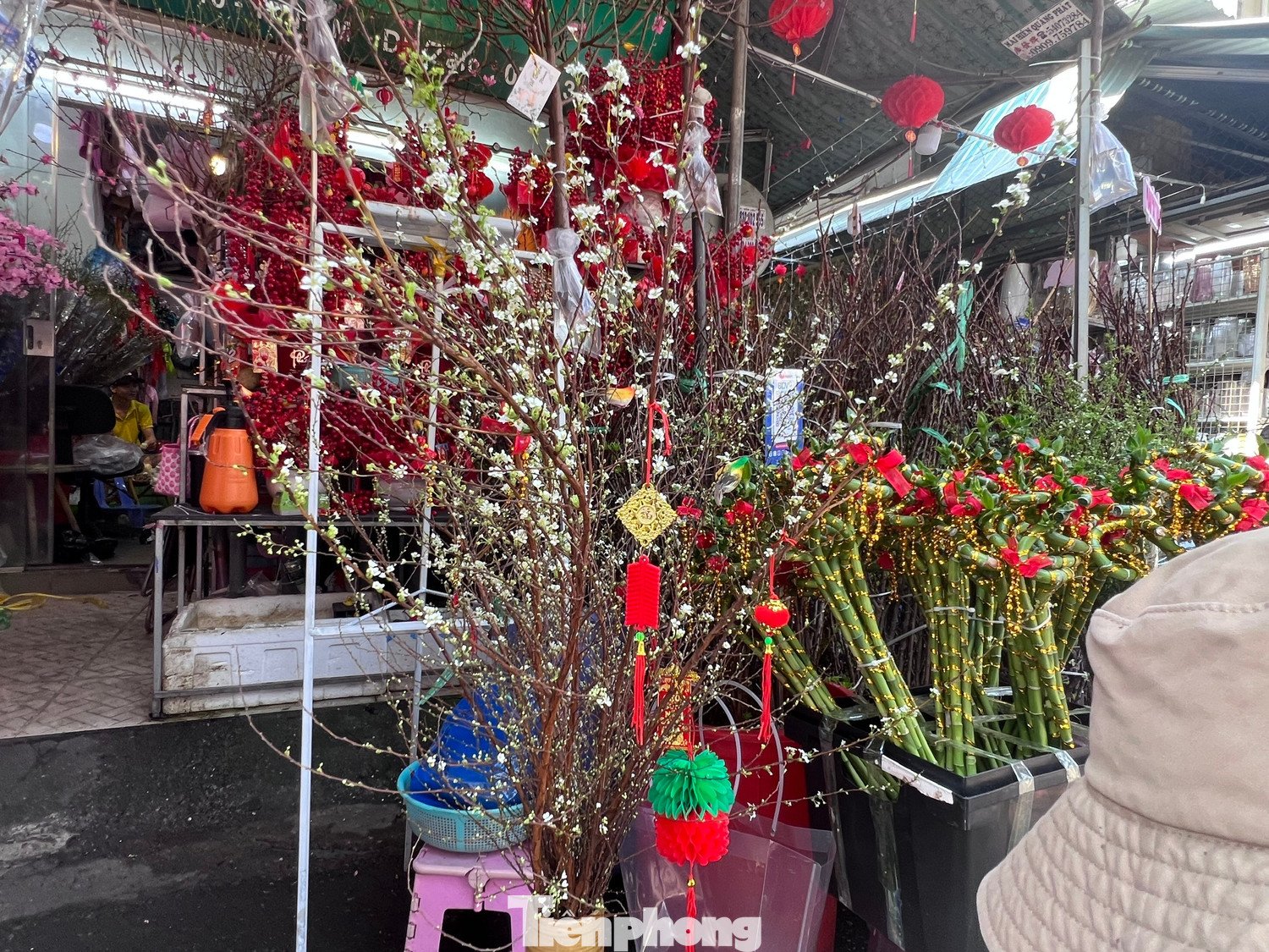 Đào mini đổ bộ Sài thành, giá rẻ đến bất ngờ - 13