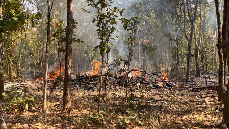 Chiếc máy bay AT-6 rơi và bốc cháy. Ảnh: Thai Rath.