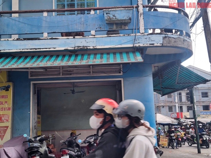 Hàng ngàn chim én “chiếm phố”, người dân Cần Thơ than trời vì phân chim - 3