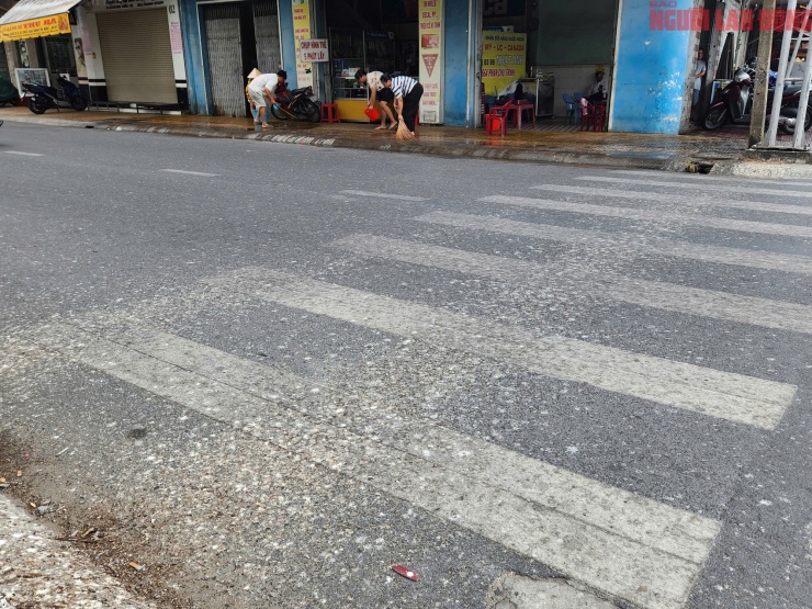 Phân chim én rơi vãi trên mái che và mặt đường