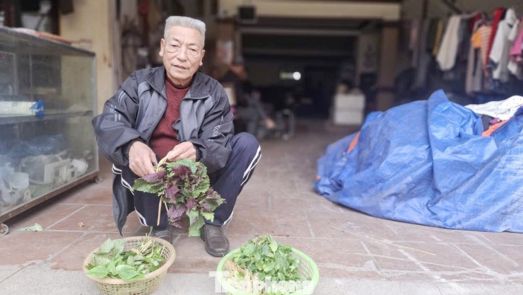 Ông Nguyễn Xuân Nhật bất ngờ được nhận tiền hỗ trợ của tỉnh Bắc Ninh khi về già.