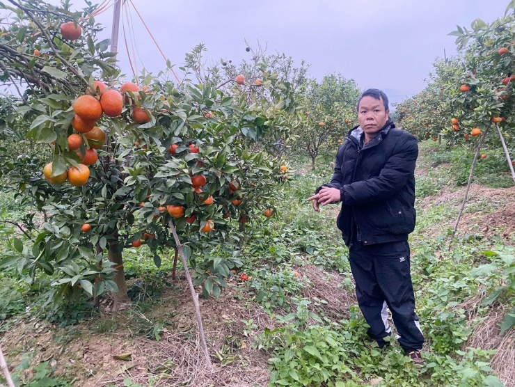 Đối tượng liên quan vụ án. Ảnh: Công an phường Chũ.