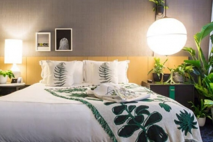 Loại cây trồng nhả khí ô xy ban đêm, đặt trong phòng ngủ tốt cho phong thủy, giúp luôn có một giấc ngủ ngon