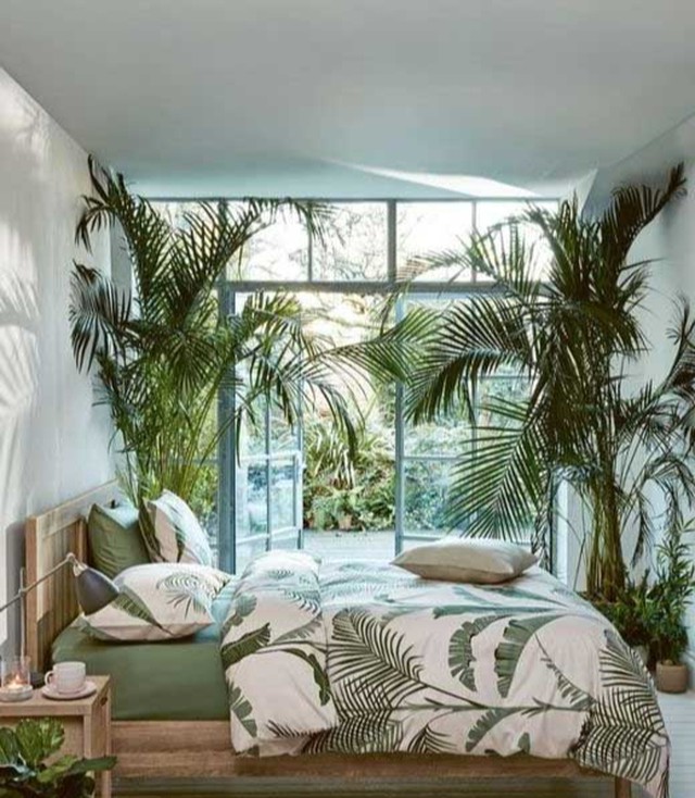 Dù bạn có thích cây xanh và cho rằng những loài cây sẽ nhả ra oxy giúp không khí trong lành thì cũng đừng trưng bày quá dày đặc trong phòng ngủ.
