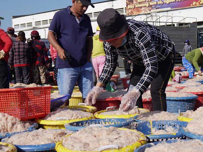 Ruốc biển được bày bán tại cảng cá Quy Nhơn