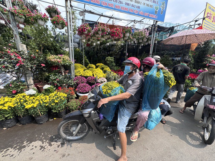 Người dân TP HCM ghé các điểm bán để mua hoa Tết sớm. Ảnh: NGUYỄN HẢI