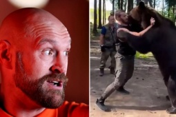 "Vua giang hồ" Fury đấu võ sĩ cao 1m98, "Ác nhân" chuyên vật nhau với gấu xám