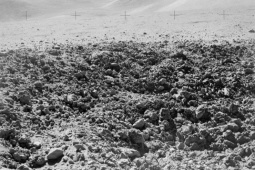 Mẫu đá tàu NASA đem về làm phức tạp thêm lịch sử Trái Đất