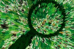 Bảo vệ dữ liệu cá nhân trên Google chỉ với 3 bước đơn giản