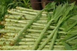 Rau đặc sản ai cũng tưởng chỉ dành cho vua chúa, giá 450.000 đồng/kg