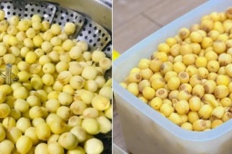 Những loại hạt ăn ngày Tết tốt cho sức khỏe