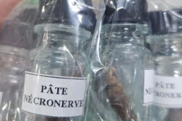 Vụ hơn 3.000 lọ thuốc diệt tủy chứa thạch tín: Nguy cơ hoại tử lợi, xương hàm