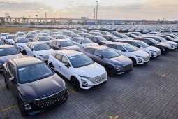 Nhập khẩu ô tô tăng vọt, Việt Nam chi 4,74 tỷ USD trong năm 2025