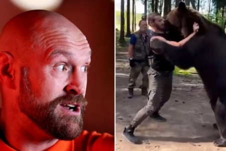 "Vua giang hồ" Fury đấu võ sĩ cao 1m98, "Ác nhân" chuyên vật nhau với gấu xám