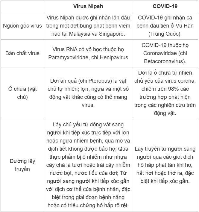 Virus Nipah và COVID-19 giống và khác nhau thế nào? - 1