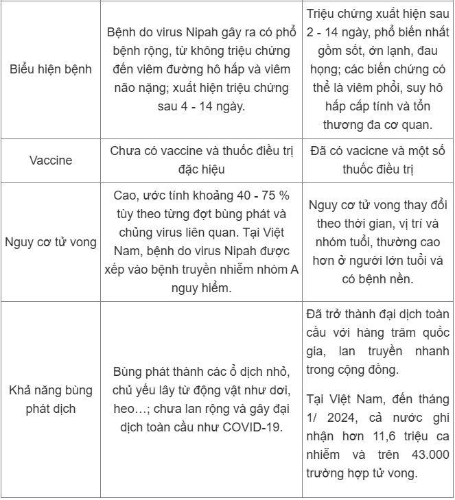 Virus Nipah và COVID-19 giống và khác nhau thế nào? - 2