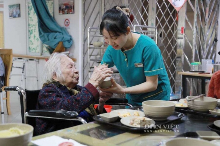 Để đảm bảo việc quản lý cũng như đào tạo đội ngũ giúp việc cả chất và lượng, ông Sơn cho rằng, trước hết cần thay đổi nhận thức xã hội: giúp việc gia đình phải được coi là một nghề chính thức trong hệ thống lao động dịch vụ, có tiêu chuẩn, có đào tạo và có cơ chế giám sát rõ ràng. Ảnh minh hoạ: Gia Khiêm