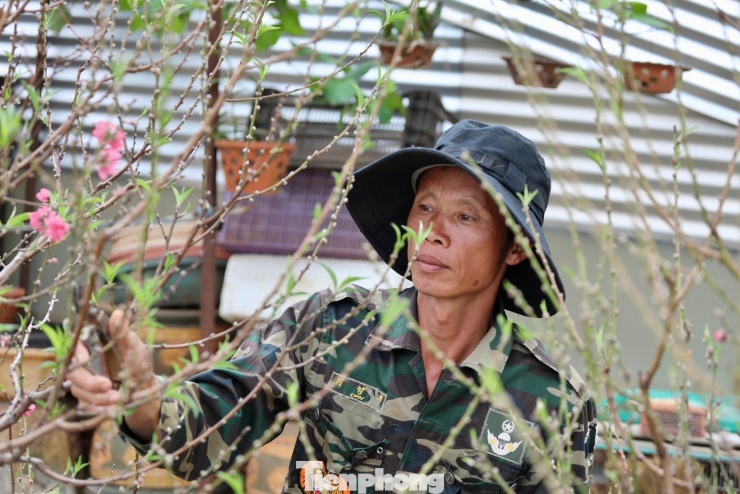 Ông Toàn cho biết, sáng sớm và chiều muộn đều đi kiểm tra nụ, thân, lá nhằm kịp thời điều chỉnh kỹ thuật chăm sóc.