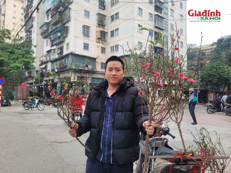 Anh Tuấn - tiểu thương tại chợ đầu mối phía Nam (Hà Nội) cho biết, cành đào nhỏ trên tay anh có giá bán công khai là 100.000 và 120.000 đồng/cành.