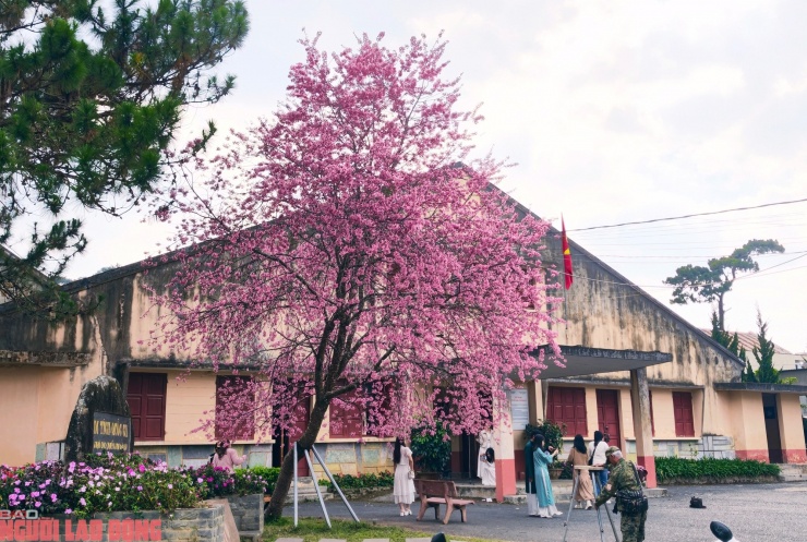 Nhà lao Thiếu nhi Đà Lạt (đường Hồ Xuân Hương, phường Lâm Viên Đà Lạt) được công nhận là Di tích quốc gia năm 2009.