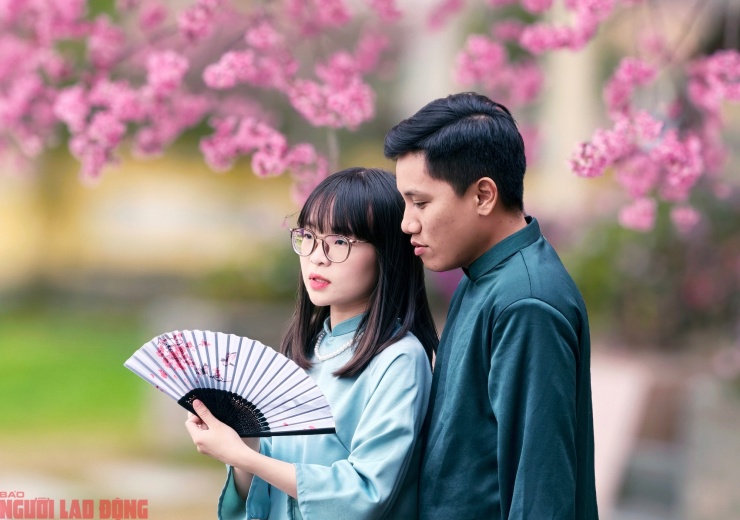 Do tán cây xòe rộng, tạo ra không gian lớn nên người dân và du khách không cần phải chờ lâu để có được góc chụp ảnh đẹp với cây mai anh đào này. Ngoài địa điểm này, khắp Đà Lạt mai anh đào cũng đang nở rất đẹp như hồ Xuân Hương, đường Trần Hưng Đạo, Cô Giang, Vạn Kiếp, hướng đi về Xuân Thọ...