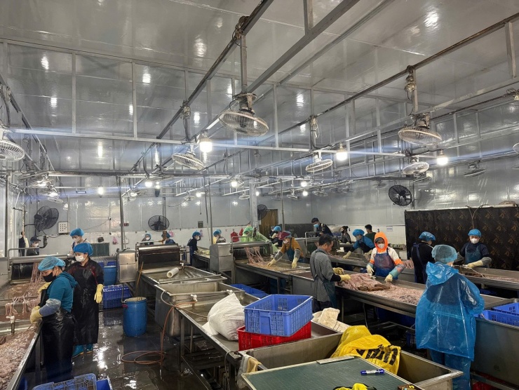 Hà Nội: Thu giữ hơn 60 tấn lòng lợn không rõ nguồn gốc tại kho đông lạnh - 3