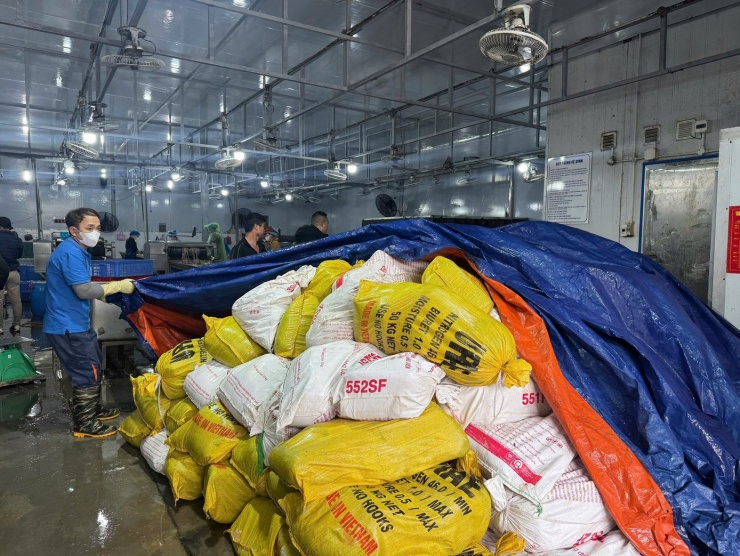 Hà Nội: Thu giữ hơn 60 tấn lòng lợn không rõ nguồn gốc tại kho đông lạnh - 4