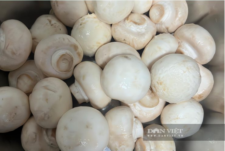 Loại rau giàu vitamin, đầy chất xơ, tốt cho tim mạch, giúp giảm cân, nấu theo cách này già trẻ đều mê - 2