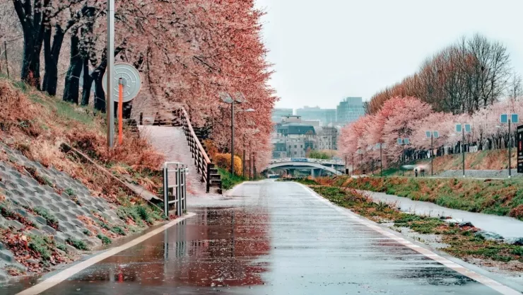 Loạt điểm đến khiến khách mê trong phim 'Tiếng yêu này anh dịch được không' - 13