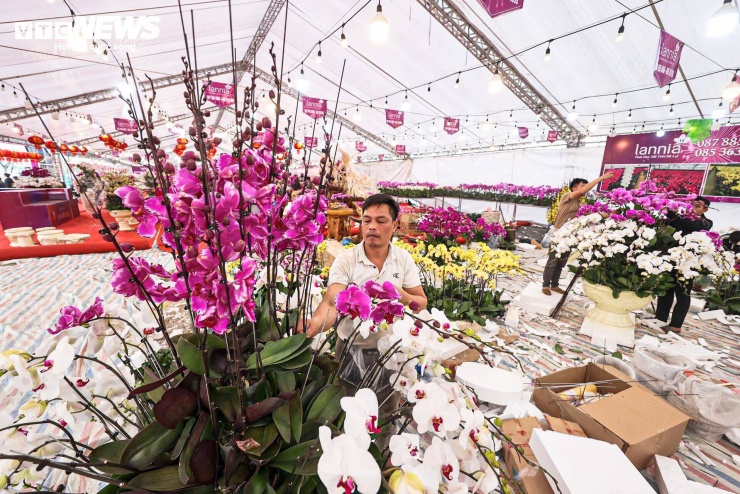 Ghi nhận tại một cửa hàng hoa lan gần Sân vận động Mỹ Đình, không khí làm việc diễn ra khẩn trương. Hơn 10 lao động đang chia nhau từng phần việc, từ cắt xốp, dựng khung đến cắm và tạo hình hoa.