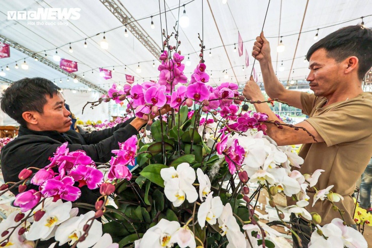 Phần lớn trong số họ là thợ cắm hoa đến từ các tỉnh Tây Bắc, xuống Hà Nội làm việc thời vụ trong những ngày cao điểm cuối năm.