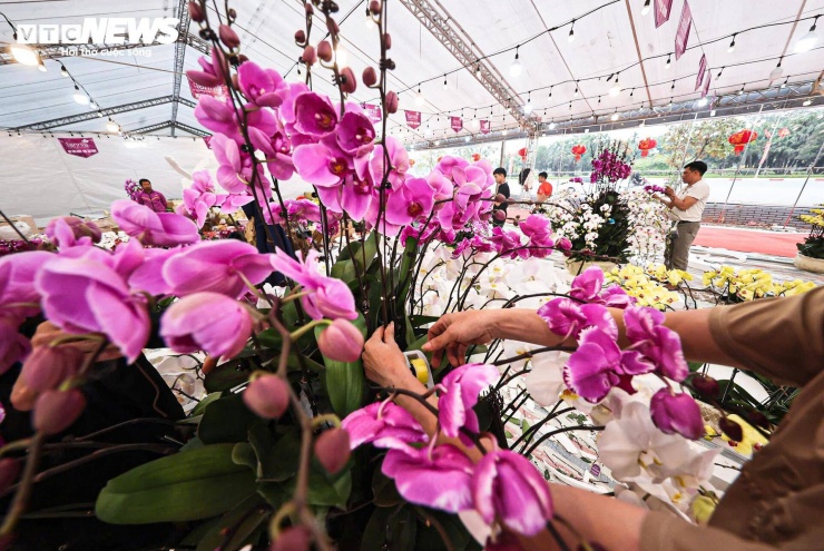 Theo anh Lâm, hầu hết thợ cắm hoa đều quen biết nhau từ trước, nhiều người cùng làng hoặc được người quen giới thiệu xuống Hà Nội học nghề. Có người đã gắn bó với công việc này 6-7 năm, coi đây là nguồn thu chính mỗi dịp Tết. “Chúng tôi chỉ làm vài ngày cao điểm, nhưng nếu chăm chỉ và có tay nghề, thu nhập mỗi ngày cũng được vài triệu đồng”, anh Lâm chia sẻ.