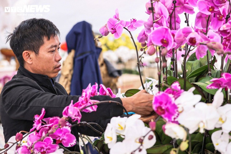 Với những chậu lớn, quá trình tạo hình có thể kéo dài cả ngày và cần sự phối hợp của nhiều người.