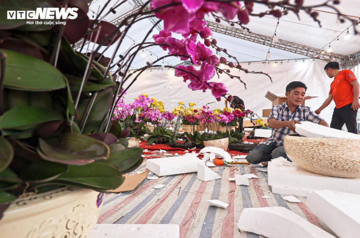 Một quản lý cửa hàng hoa lan tại khu vực này cho biết, tiền công thợ cắm được tính theo số lượng cành, dao động từ 15.000 đến 30.000 đồng mỗi cành, tùy độ khó và yêu cầu kỹ thuật. “Thợ lành nghề có thể cắm 40-50 cành một ngày. Những chậu lớn, giá trị cao thường do thợ chính đảm nhận, họ đều có ít nhất 4 năm kinh nghiệm”, người này nói.