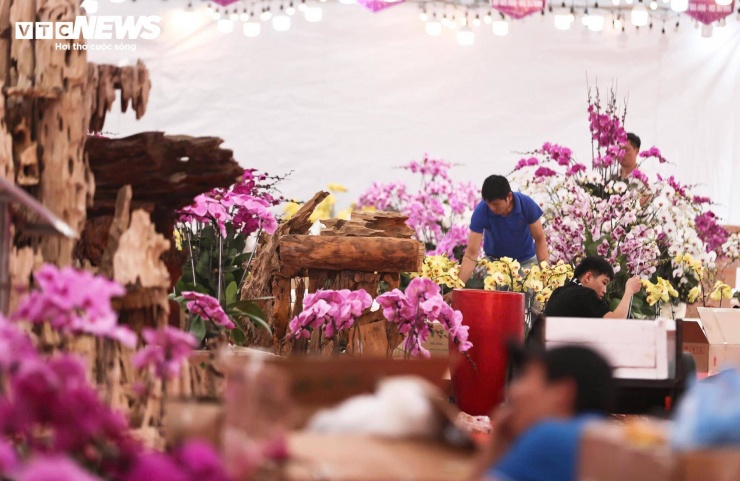 Hoa lan Đà Lạt được đánh giá cao nhờ cành dài, nhiều nụ, màu sắc đa dạng. Theo các thợ cắm hoa, lan Đà Lạt khác với lan nhập khẩu ở độ bền và số lượng nụ, yếu tố này đến từ điều kiện thổ nhưỡng và khí hậu tại các vùng trồng hoa nổi tiếng như Thái Phiên, Vạn Thành.